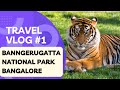 Banngerugatta National Park Bangalore| Software Engineer's Weekend Trip