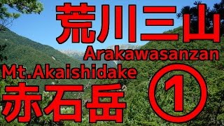 南アルプス 荒川三山～赤石岳 縦走 Part-1 [019]【Southern Alps】椹島～千枚小屋