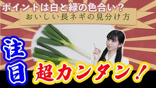 【大島璃音】何故？視聴者様にバレた？正しい長ネギの見分け方　面白い　【ウェザーニュースLive】切り抜き