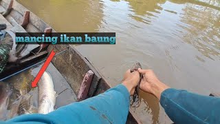 NAJUR DAN MERAWAI  IKAN BAUNG, DIALIRAN SUNGAI KALIMANTAN HASIL NYA DILUAR DUGAAN💯 #ikanbaungbabon