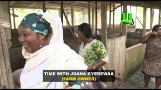 AYEKOO: Time With Joana Kyerewaa, Farm Owner