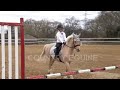 Harlow and popcorn! | Country Equine |