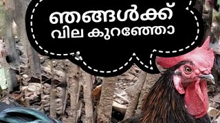 💥💥കുട്ടനാടൻ താറാവും നാടൻ കോഴിയും നിലവിലെ വിലയിലും  കുറച്ചു കൊടുക്കുന്നു 💥💥💥