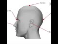 tdcs درمان جدید پارکینسون و فیبرومیالژیا