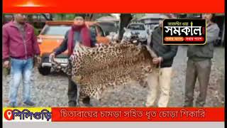 *আবারও বড় সরো সাফল্য বৈকন্ঠপুর ডিভিশন এর বেলাকোবা বনদপ্তরের* উদ্ধার চিতা বাঘের চামড়া।