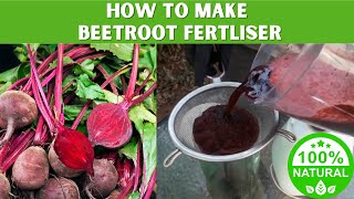 Beetroot juice #organic fertilizer for strong plants