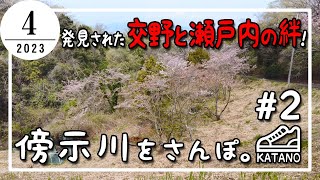 【交野】発見された交野と瀬戸内の絆！傍示川をさんぽ。#2【散歩】