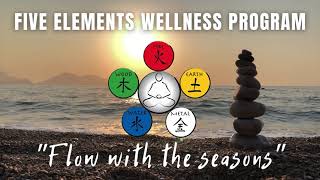 5 ELEMENTS WELLNESS PROGRAM