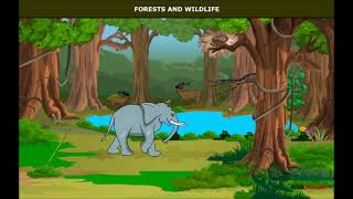 Natural Vegetation and Wildlife | Forest | Geography | Class 7