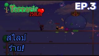 สไลม์ร้าย I terraria 250 ชีวิต EP.3