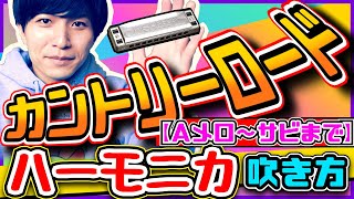 【初心者向け/ハーモニカ】『カントリーロード (Aメロ～サビ)』耳をすませば/ジョン・デンバー/@Daichang