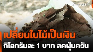 เปลี่ยนใบไม้เป็นเงิน ลดฝุ่นควัน จ.เชียงใหม่ | จับตารอบทิศ | 27 ม.ค. 68