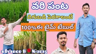 వరి పంట 100% దిగుబడి పెంచే టైం టేబుల్ #bharathraithubadi