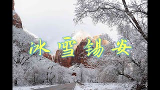 【冰雪覆盖的美国锡安国家公园】最美步道Canyon Overlook Trail ︳锡安国家公园冬天攻略︳锡安国家公园游览︳Zion National Park Winter Hiking︳