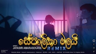 Sepalika Malai (Remix) Jayasiri Amarasekara (ZETRO) සේපාලිකා මලයි  | Sinhala Remix Songs