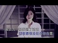 荣幸与遗憾 魏佳艺 主唱 karaoke