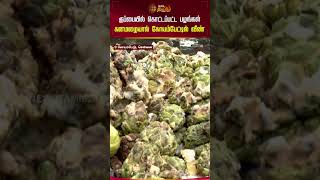 குப்பையில் கொட்டப்பட்ட பழங்கள் கனமழையால் கோயம்பேட்டில் வீண்! | #koyembedumarket #spoiledfruits