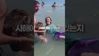 얼마나 무거워야 사해(Dead sea)에 빠질까?