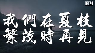 錢正昊 - 我們在夏枝繁茂時再見『很久很久很久之後』【動態歌詞Lyrics】