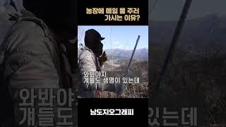 매일 등산하시는 어머니