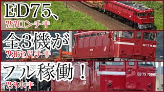 ED75全3機がフル稼働!!!!【ED75 757.ED75 758.ED75 759】小牛田・郡山転回工臨.白石回転ホキ工臨.山形工臨(工9535レ.工9541レ〜工9542レ.工9548レ)