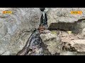 courtallam falls தென்காசியில் இந்த அருவிக்கு மட்டும் குளிக்க போகாதீங்க... local18