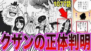 【最新1077話】超重要伏線！バスターコール以前に青キジがオハラの人間と繋がっていたことに驚愕する読者の反応集【ワンピース】ネタバレ注意