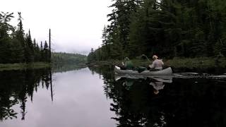 River Reflections