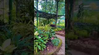 Royal Botanical Gardens Peradeniya