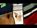 popcat เล่นยังไงให้ได้คะแนนเยอะๆ กด1ครั้งได้คะแนนเยอะกว่าเดิม5เท่า popcat click