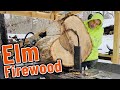 Splitting Elm for Firewood...Easy or Difficult?