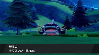 【ポケモン剣盾】色違いナマズン 自然遭遇part63