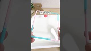 金魚が逃げた!?