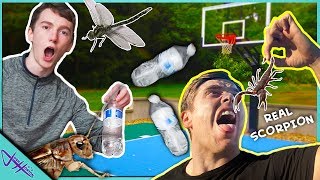 MISS The BOTTLE FLIP, Eat DISGUSTING BUGS! Ft. That’s Amazing