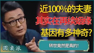 有钱不是能装出来的！富豪的大排场直接惊呆马未都，令马爷都难忘的许家印的饭局有多奢华？#窦文涛 #梁文道 #马未都 #周轶君 #马家辉 #许子东 #圆桌派 #圆桌派第七季