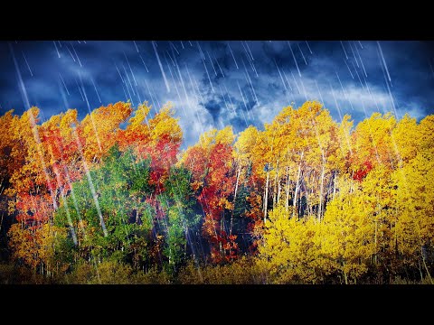 Sleep To Rain & Wind White Noise | 10 Hours Sleep To Rain & Wind White Noise | 10 Hours