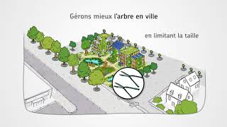 Gestion écologique : accueillons la biodiversité en ville