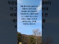 Img-236.죽어서 석잔 술이 살아서 한 잔 술만 못하다- 죽은 뒤에 아무리 많은 예우를 받아도 살아 있을 때 받는 작은 예우나 관심이 더 낫다는 말#Learn korean