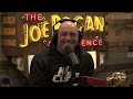 jre mma show 133 with sean o malley