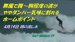 セット腹～胸程度の波がややダンパー気味にブレイクするホームポイント 200419 ~サーフモンキーTV