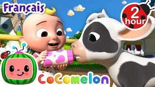 Le Vieux MacDonald | Chansons pour Bébés | CoComelon Le coin des Animaux de JJ - Comptines