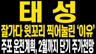 [태성 주가전망] 장초반 잘 오르다가 찍어눌린 형상이라 아쉽지만 현 주가 상황에 대해 명확히 보셔야 합니다 올해에도 상승랠리 꼭 함께 하시고 다시 수익 더 챙겨가셨으면 합니다!