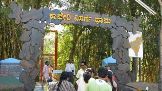 Nisargadhama Forest #coorg #mysuru #tourism