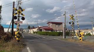 小栗山県道踏切　弘南鉄道 大鰐線【青森県・弘前市】　2020.11.13