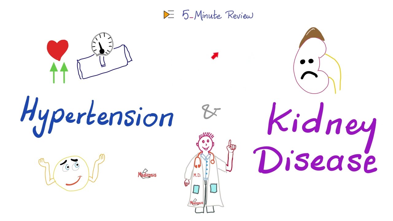 Hypertension & Kidney Disease | Renovascular Hypertension Vs ...