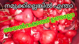 കിട്ടിയ സമയം ഒട്ടും കളയാതെ വെളുപ്പിച്ചു 😋#minivlog #youtubevideo #shortsvideo