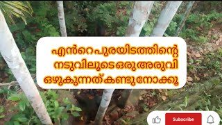 enta puredathinta naduvil kudi ozhukunna oru  എൻ്റ പുരയിടത്തിലെ നടുവിലൂടെ ഒഴുകുന്ന ചെറിയ ഒരു അരുവി