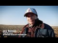 greater sage grouse lek viewing in wyoming