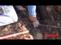 fix your wet basement foundation french drain