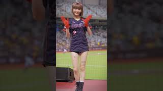 [4k60p] 240531｜霖霖｜球迷：加油～｜Cheerleader fancam Dragon Beauties #dragonbeauties #직캠